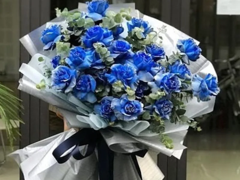 hoa hong xanh co y nghia gi giai ma nhung thong diep dac biet