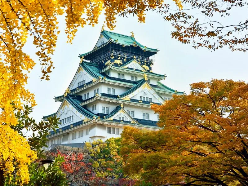 lau dai osaka