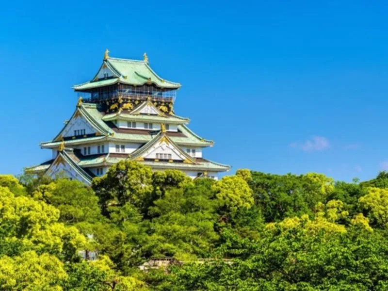 lau dai osaka