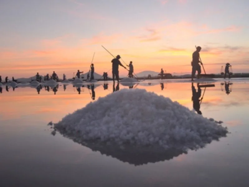 thai binh co gi choi 12 dia diem dep va trai nghiem dang thu
