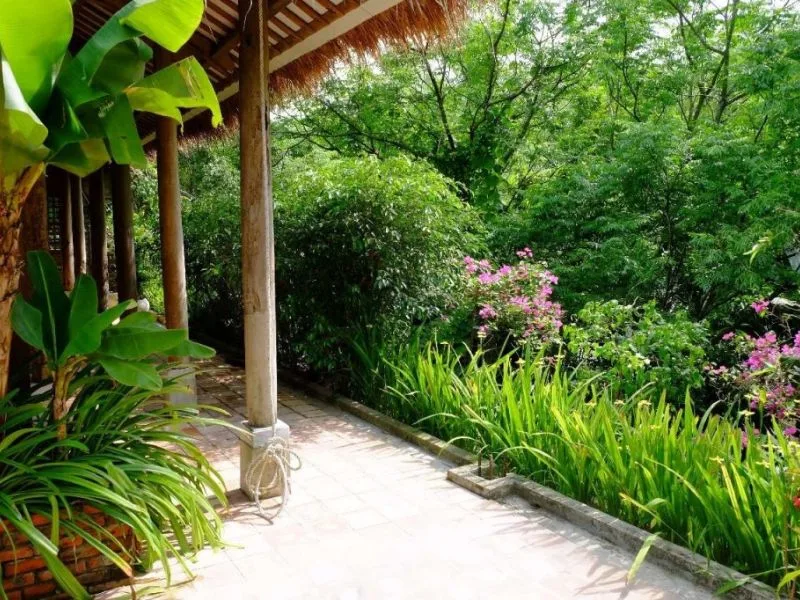 thai binh co gi choi 12 dia diem dep va trai nghiem dang thu